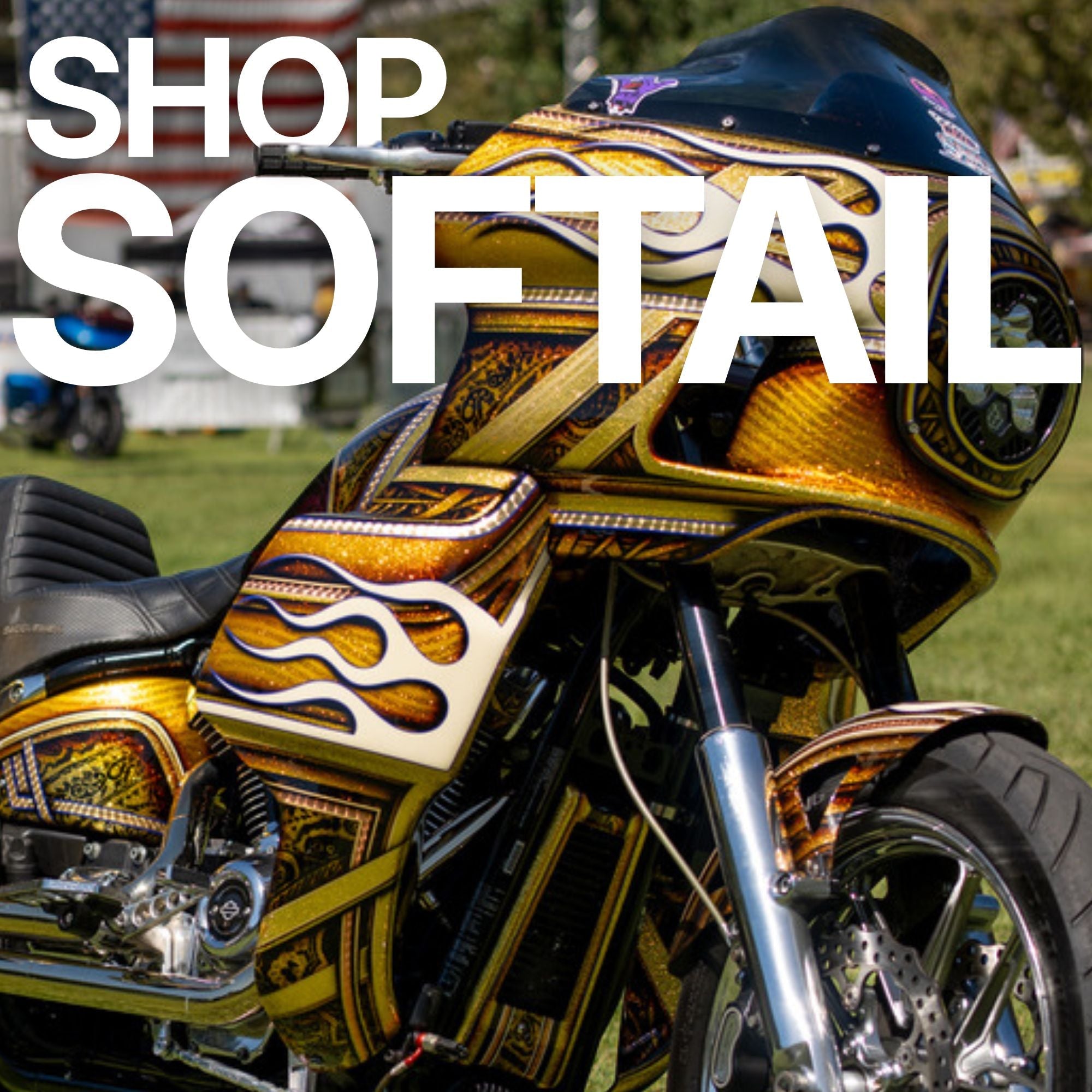 RWD V-Twin | Harley-Davidson Suspension