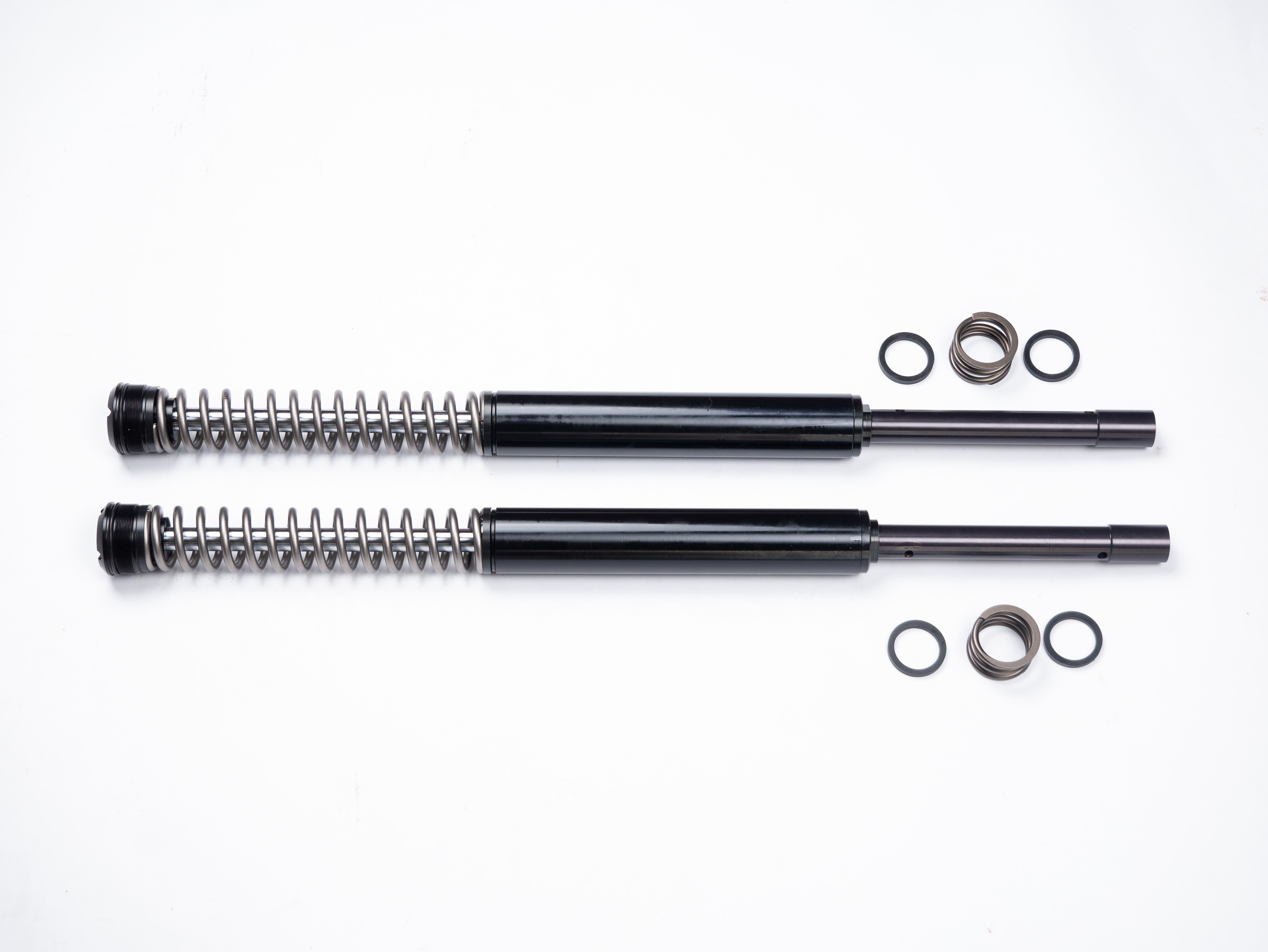 RS-1F Dyna Cartridge System | Harley Davidson Dyna | RWD V-Twin