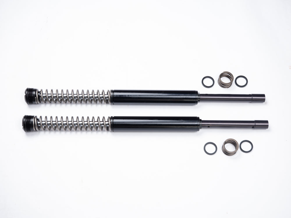 Parts of the RWD RS-1F softail front fork cartridge system laid out on a white background