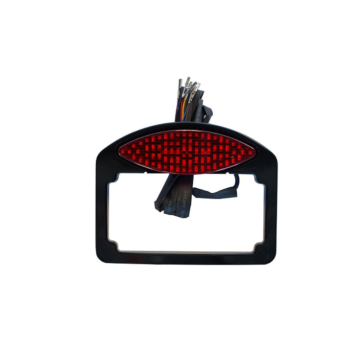 LED Cat Eye System - License Plate / Taillight / Turn Signal for Harley-Davidson by Russ Wernimont Designs